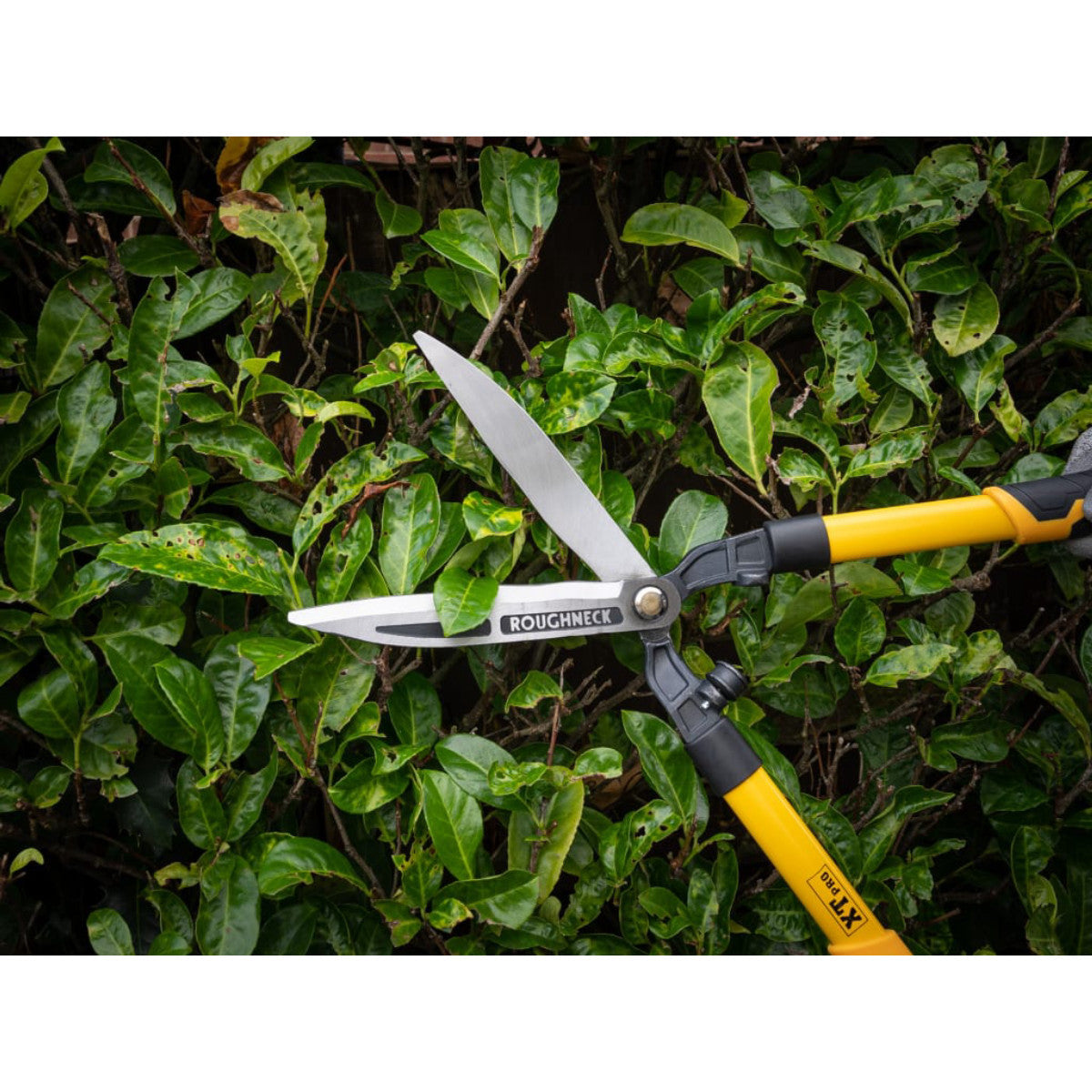 Roughneck XT Pro Hedge Shears 635mm (25in) ROU66870
