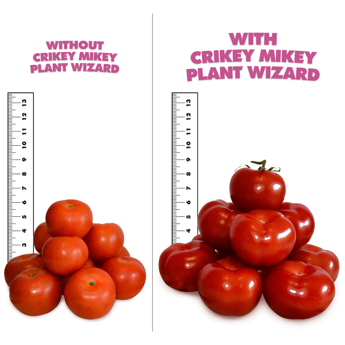 Crikey Mikey Plant Wizard 2 x 1L