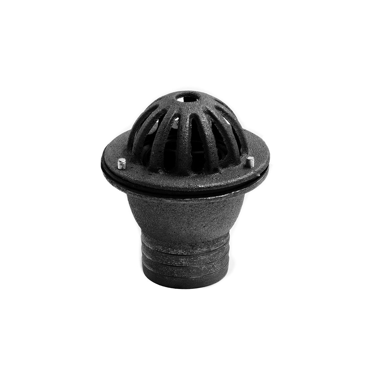 Wolf 2" Heavy Duty Cast Iron Foot Valve/Filter - Image 1