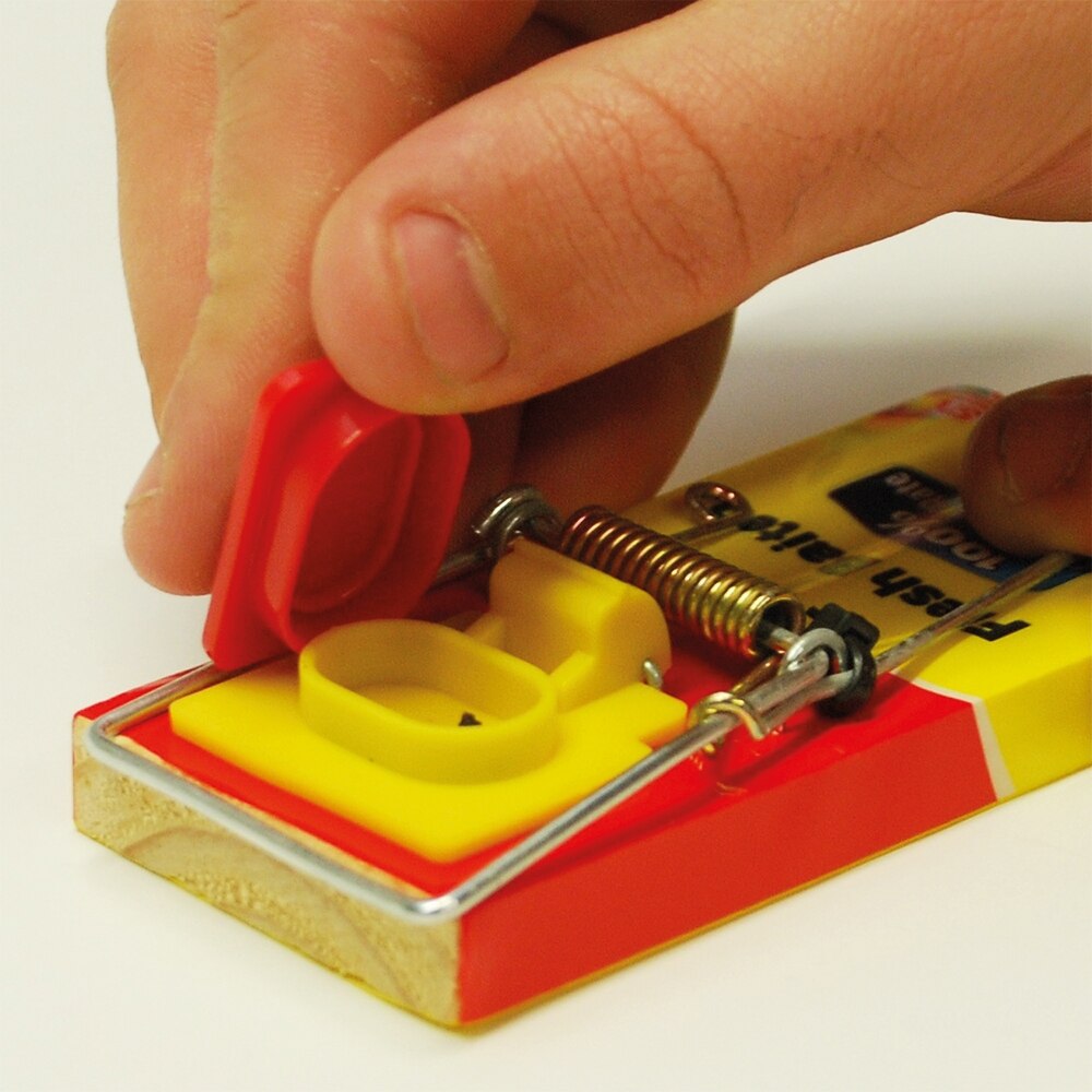 The Big Cheese - Fresh Baited Mouse Trap Pest Control - Image 6