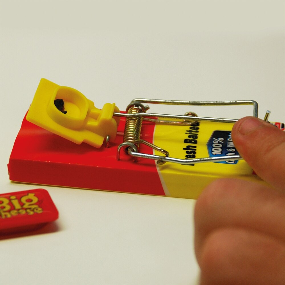 The Big Cheese - Fresh Baited Mouse Trap Pest Control - Image 7