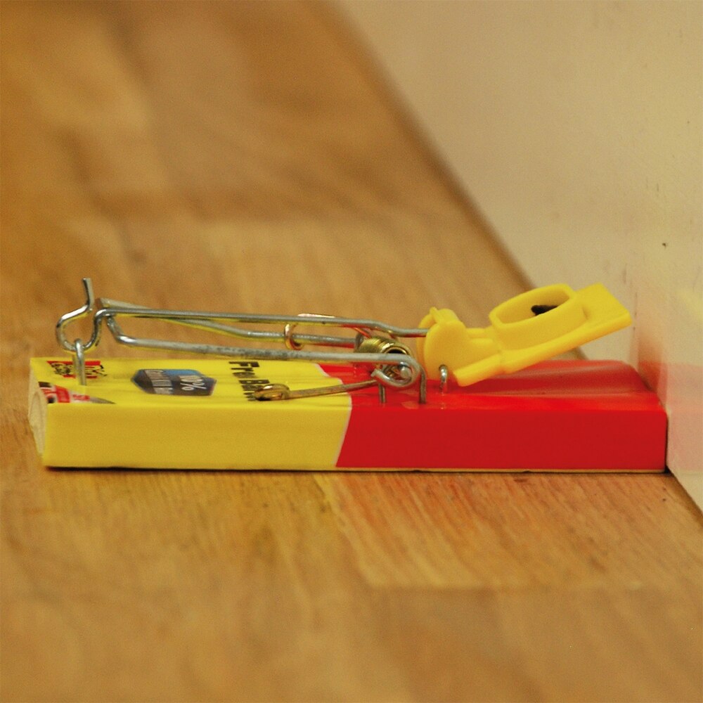 The Big Cheese - Fresh Baited Mouse Trap Pest Control - Image 8