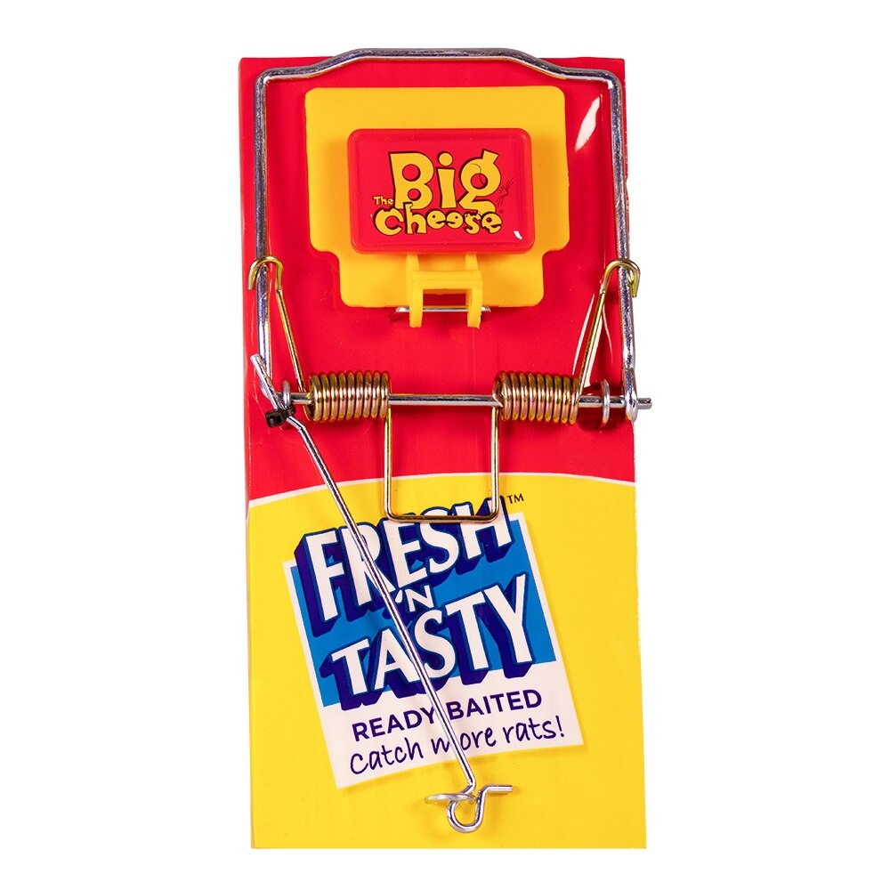 The Big Cheese - Fresh Baited Rat Trap Pest Control - Image 1