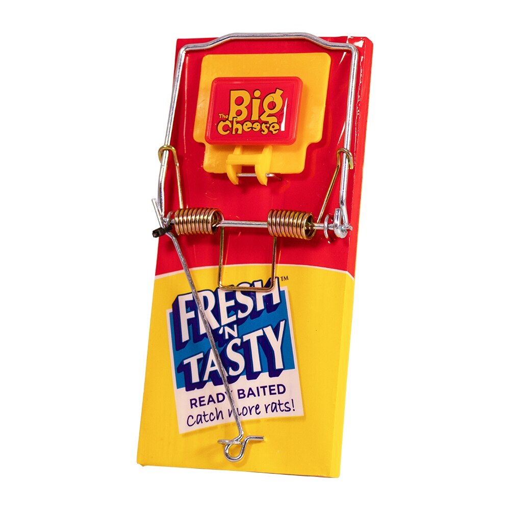 The Big Cheese - Fresh Baited Rat Trap Pest Control - Image 2