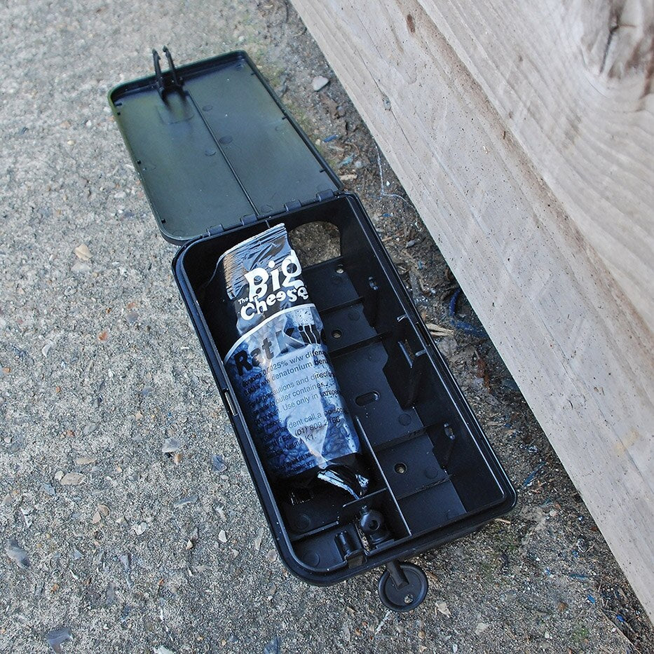 The Big Cheese - Rat Killer Grain Bait Sachet 150g - Image 6