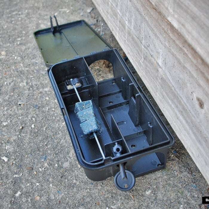 The Big Cheese - Rat & Mouse Bait Station - Image 8