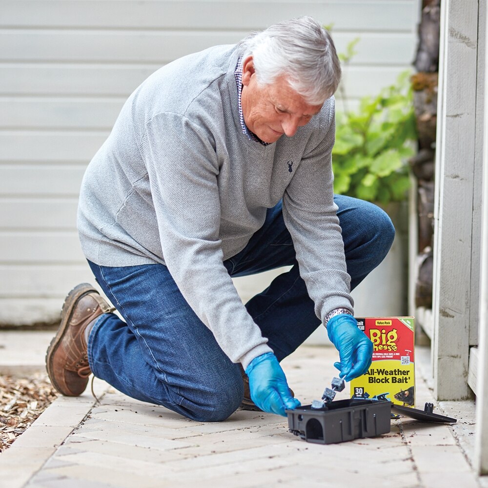 The Big Cheese - Block Bait Rodent Killer Pest Control Kit - Image 9