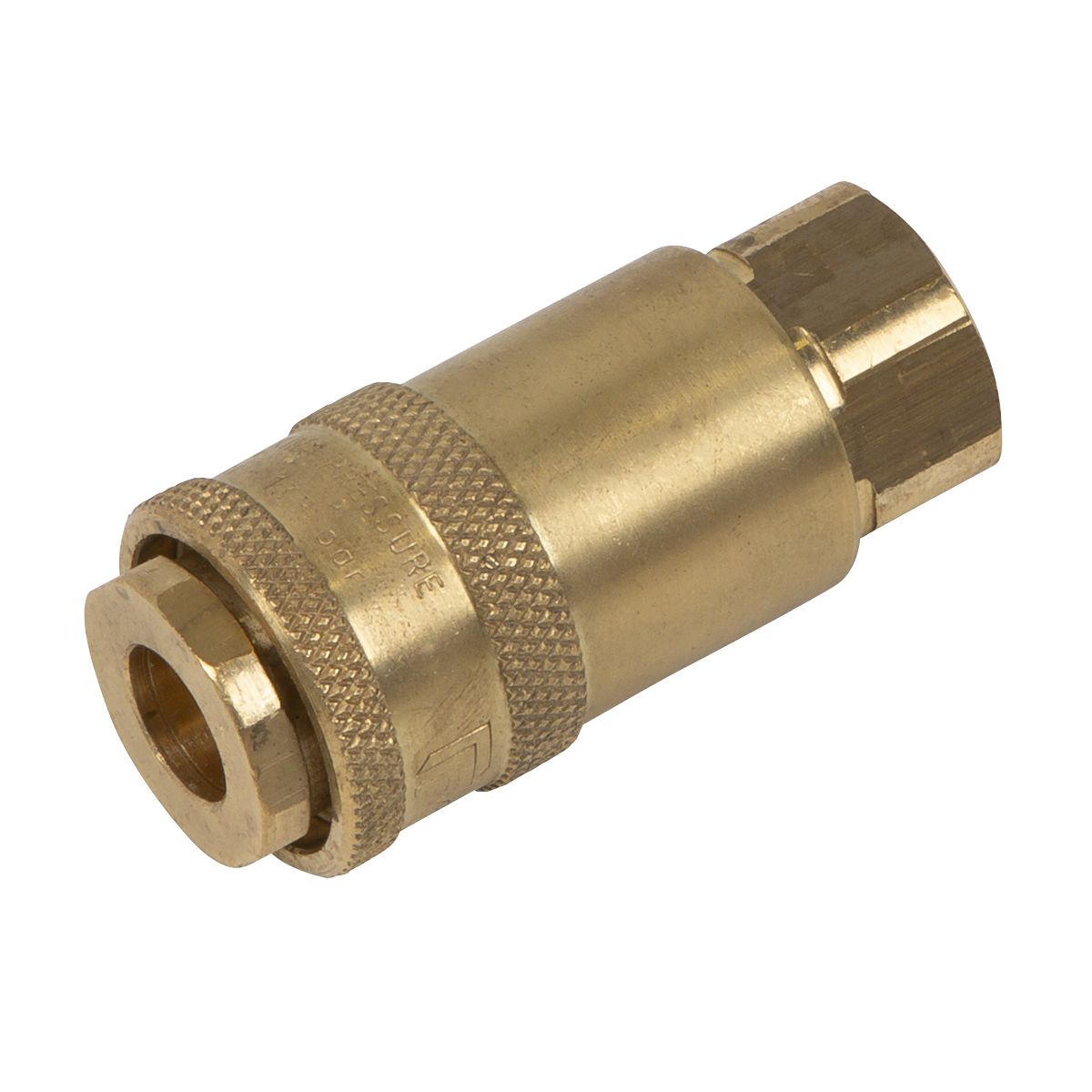 Sealey PCL Non-Corrodible Coupling Body Female 1/4"BSP - Image 1