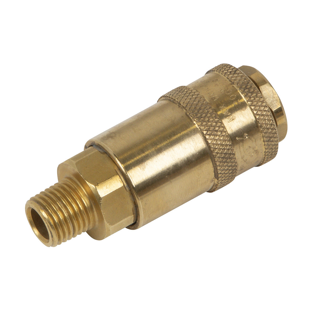 PCL Non-Corrodible Coupling Body Male 1/4"BSPT AC91