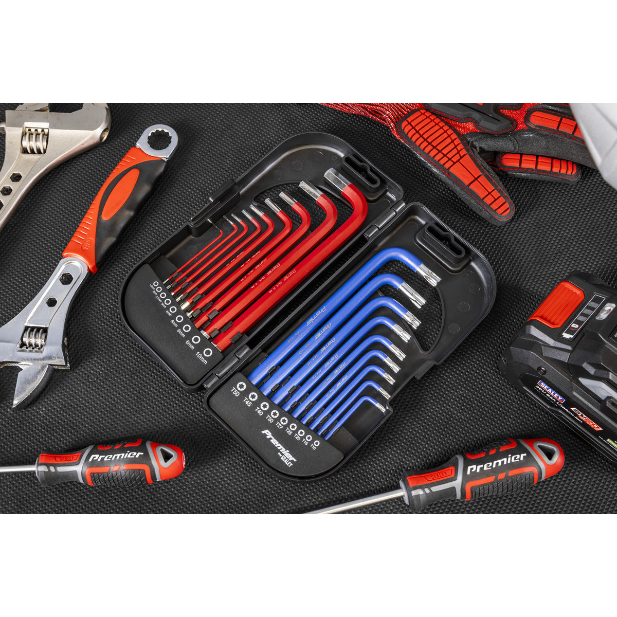 Premier Long Anti-Slip TRX-Star & Ball-End Hex Key Set 18pc AK7176