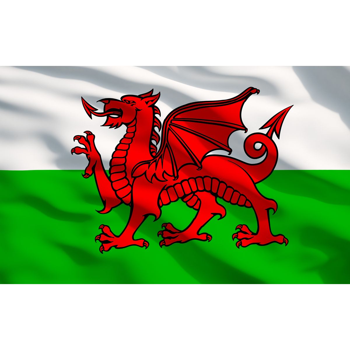 Sealey Toolbox Graphics Pack - Wales - Image 2