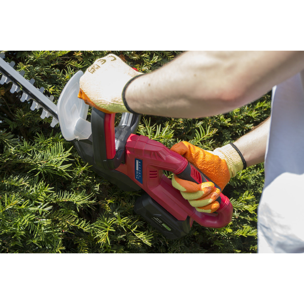 Sealey SV20 Series Cordless Hedge Trimmer 20V 4Ah with Battery & Charger CHT20VCOMBO4