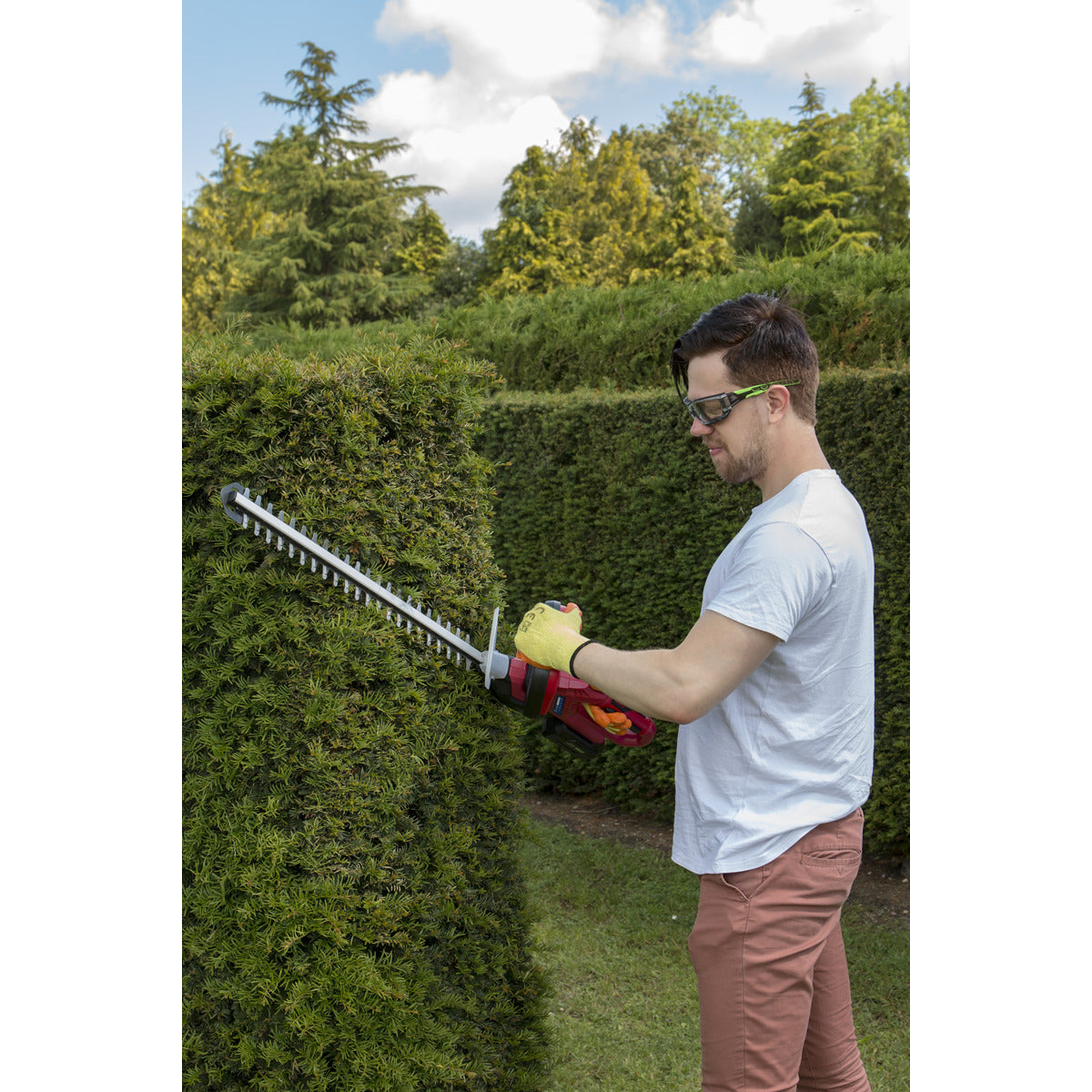 Sealey SV20 Series Cordless Hedge Trimmer 20V 4Ah with Battery & Charger CHT20VCOMBO4