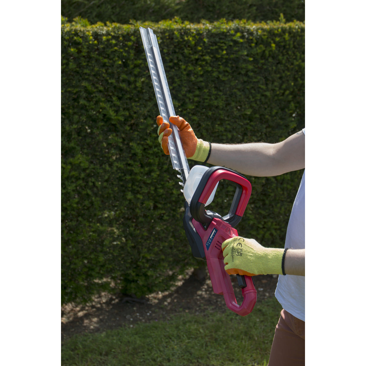 Sealey SV20 Series Cordless Hedge Trimmer 20V 4Ah with Battery & Charger CHT20VCOMBO4