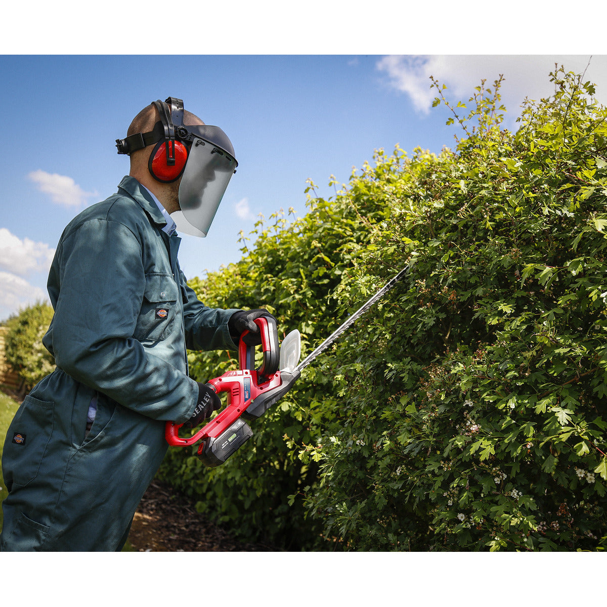 Sealey SV20 Series Cordless Hedge Trimmer 20V 4Ah with Battery & Charger CHT20VCOMBO4