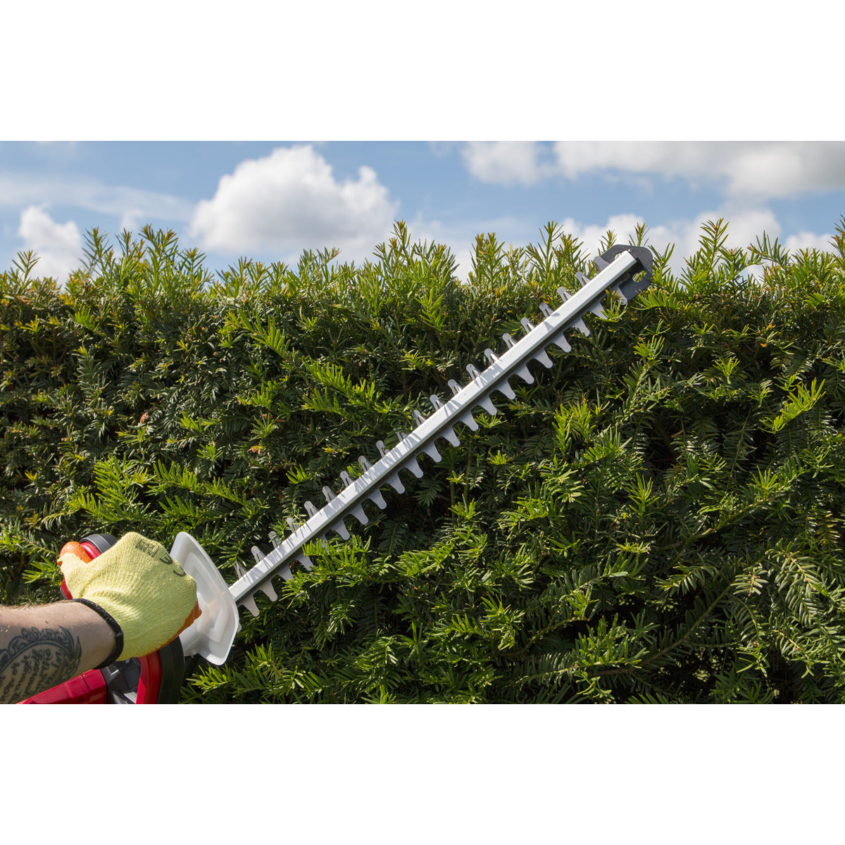 Sealey SV20 Series Cordless Hedge Trimmer 20V 4Ah with Battery & Charger CHT20VCOMBO4