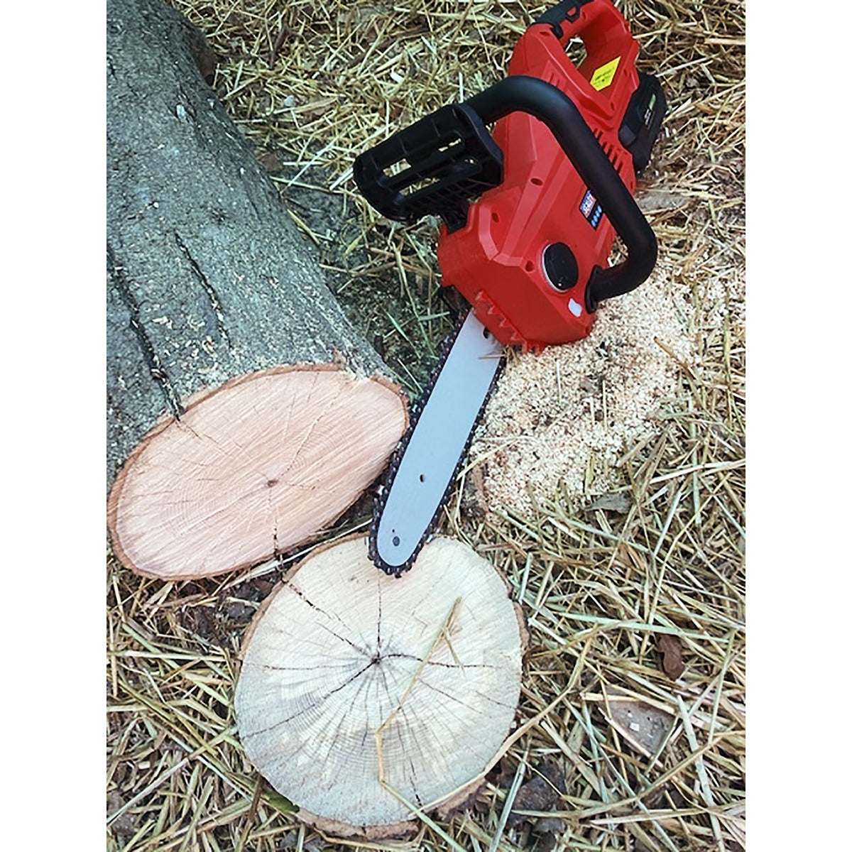 Sealey SV20 Series 25cm Cordless Chainsaw Kit 20V 4Ah - 2 Batteries CP20VCHSKIT
