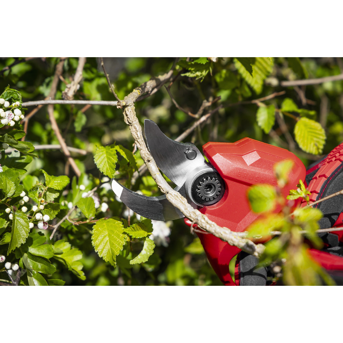 Sealey SV20 Series Brushless Cordless Pruning Shears Kit 20V 2Ah - 2 Batteries CP20VPSKIT