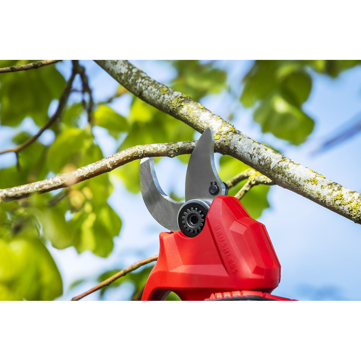 Sealey SV20 Series Brushless Cordless Pruning Shears Kit 20V 2Ah - 2 Batteries CP20VPSKIT