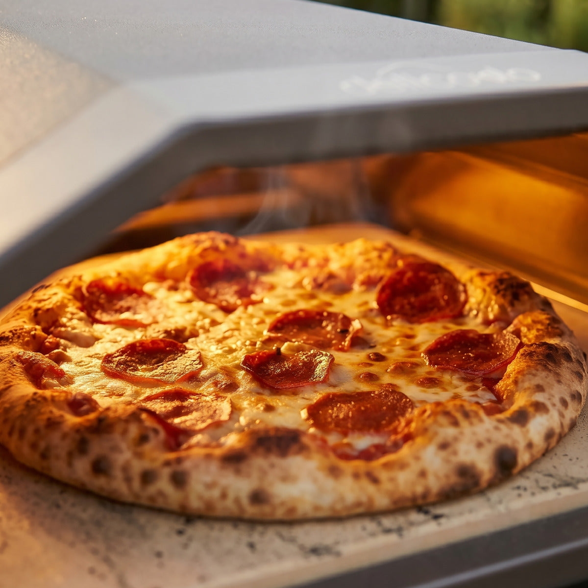 Dellonda Gas Pizza Oven with Water-Resistant Cover/Carry Bag, 12" Pizza Peel & Plancha Trolley DG262