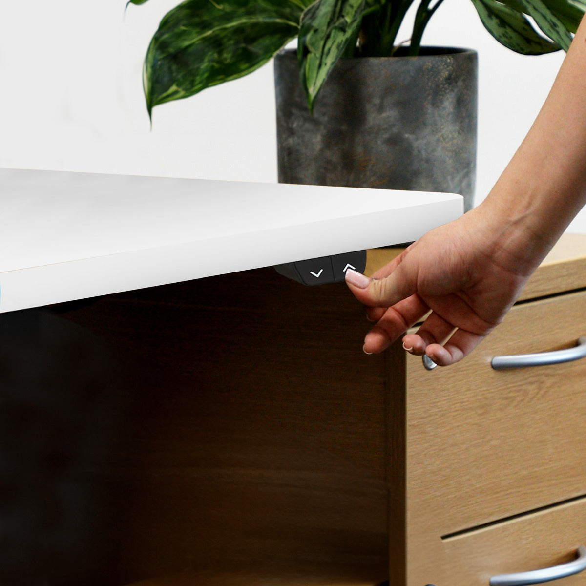 Dellonda Single Motor Ultra-Quiet Adjustable-Height Electric Sit/Stand Desk - White Desktop DH36