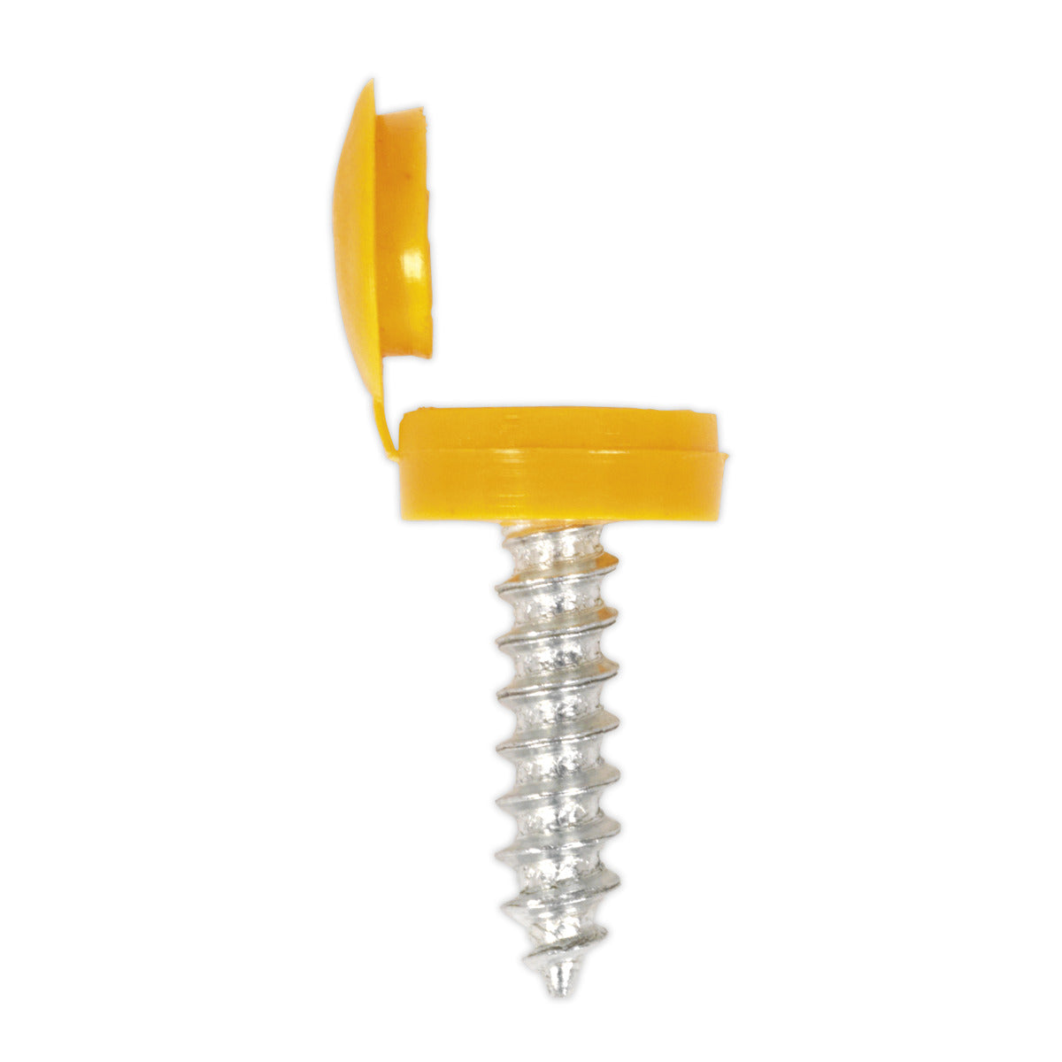 Sealey Clip Strip Deal - Mixed Numberplate Screws NPSSET