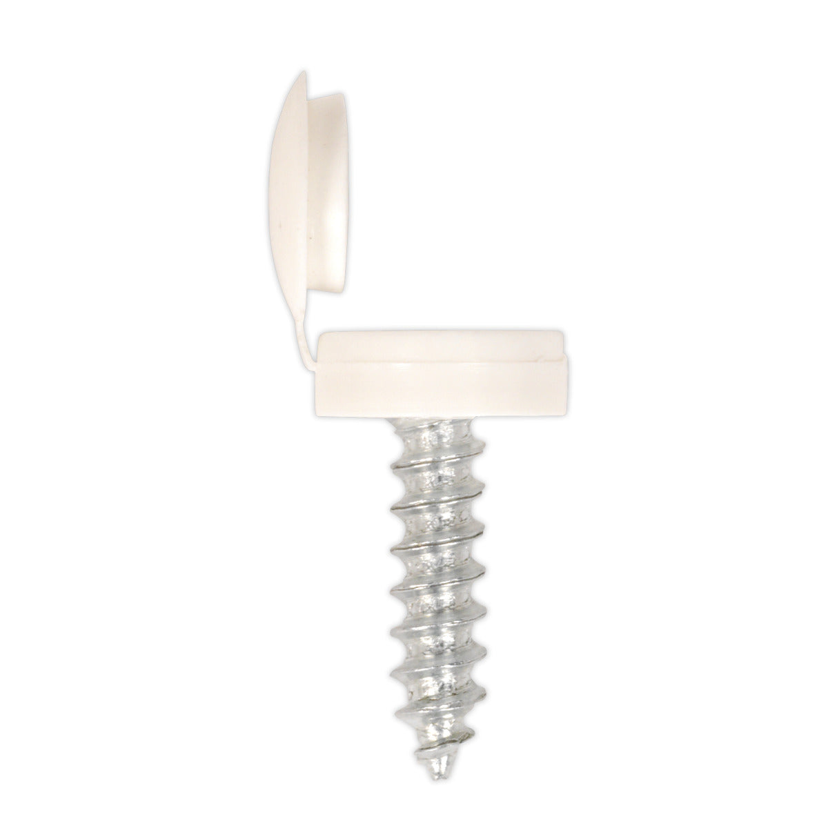 Sealey Clip Strip Deal - Mixed Numberplate Screws NPSSET
