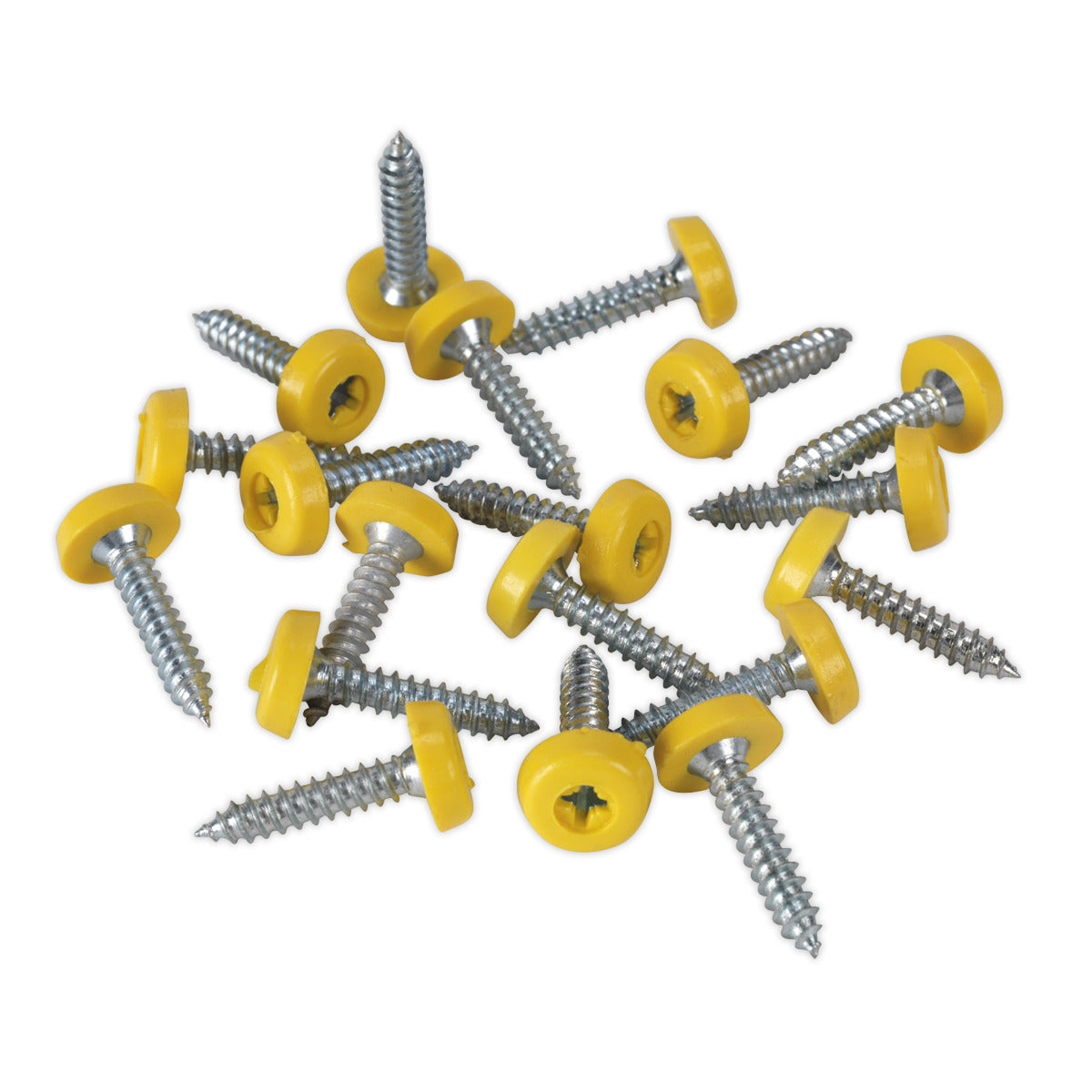 Sealey Clip Strip Deal - Mixed Numberplate Screws NPSSET