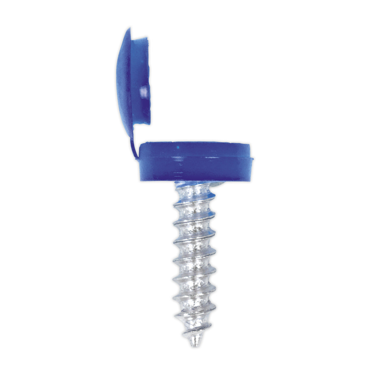 Sealey Clip Strip Deal - Mixed Numberplate Screws NPSSET