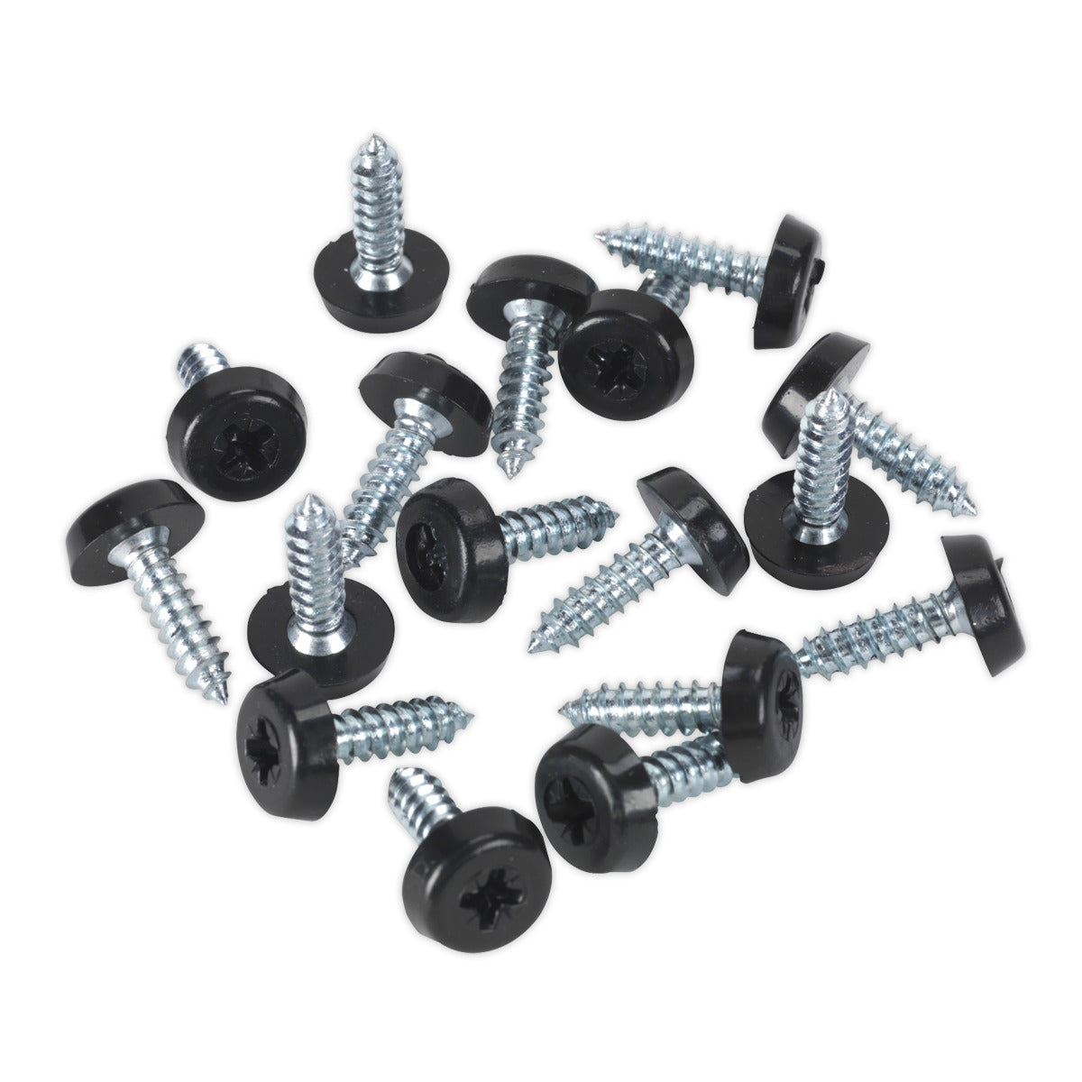Sealey Clip Strip Deal - Mixed Numberplate Screws NPSSET