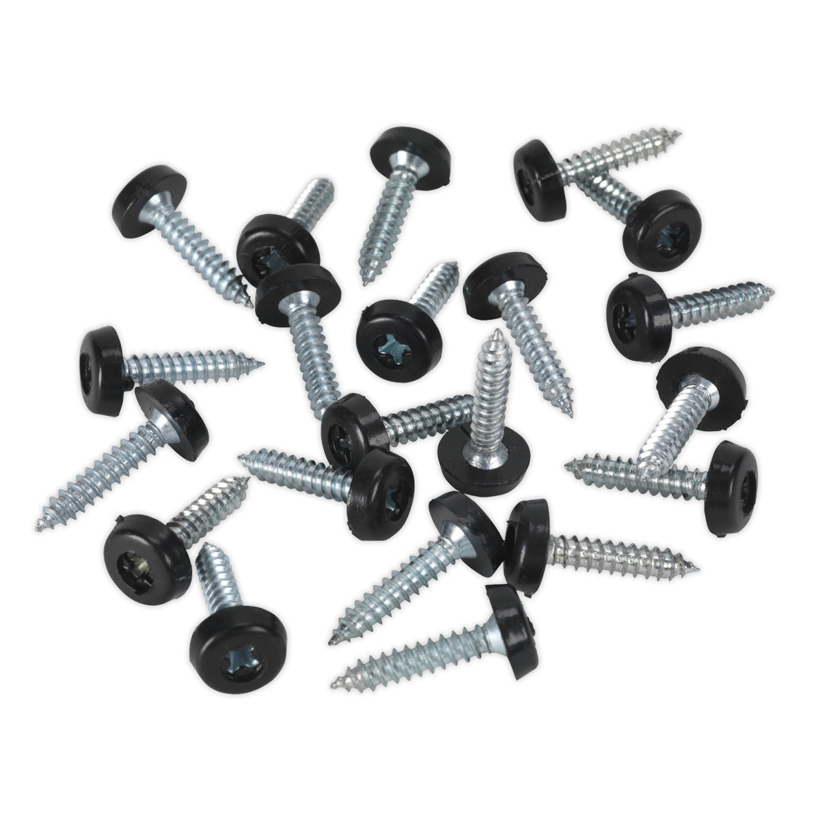 Sealey Clip Strip Deal - Mixed Numberplate Screws NPSSET