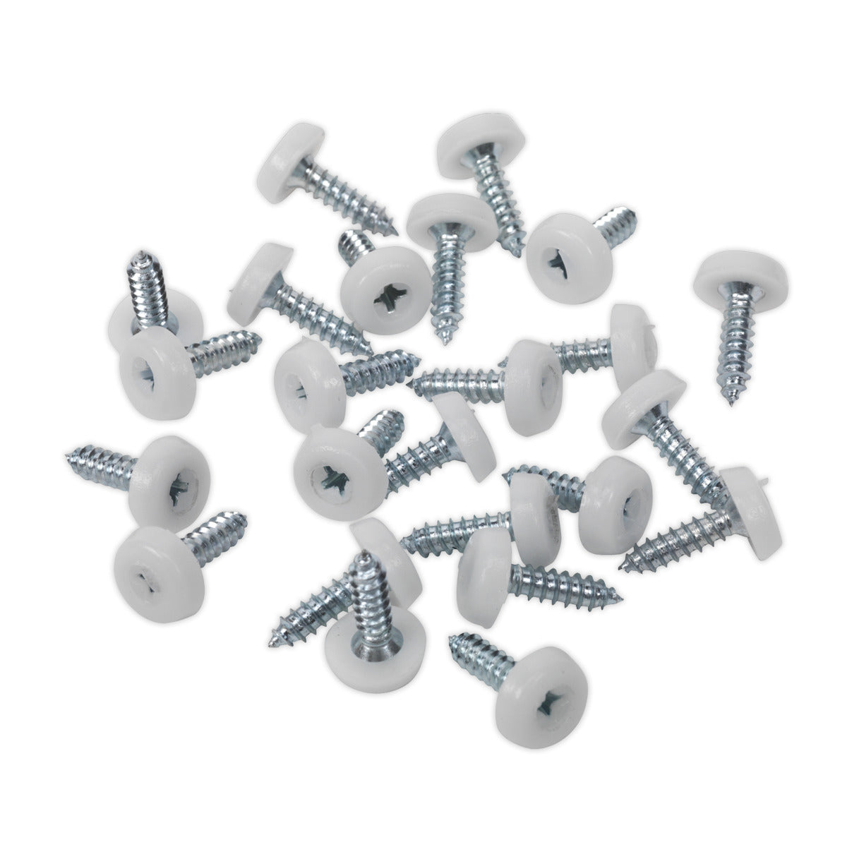 Sealey Clip Strip Deal - Mixed Numberplate Screws NPSSET