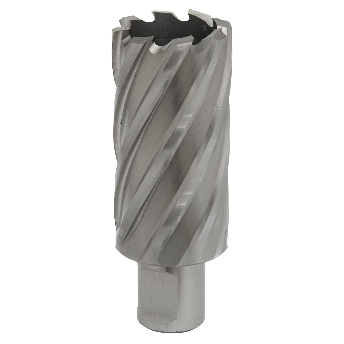 Sealey Worksafe 32mm HSS Mag Drill Bit Cut Depth 50mm - Image 1