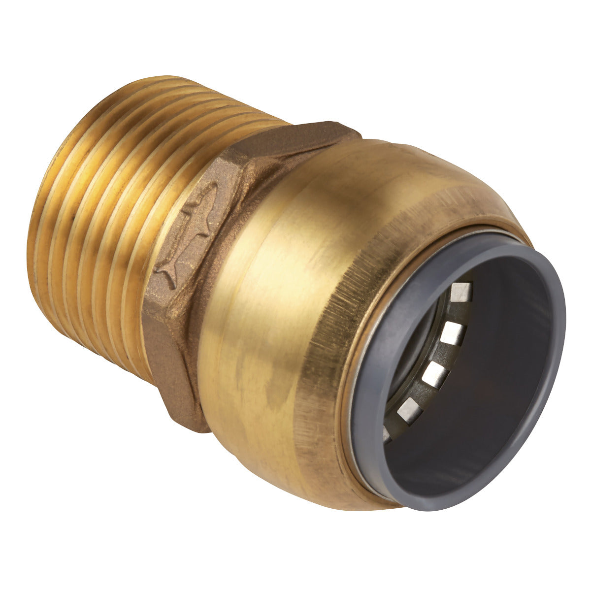 John Guest SharkBite Brass Straight Adaptor 28mm x 1"BSPT SBA28BSA
