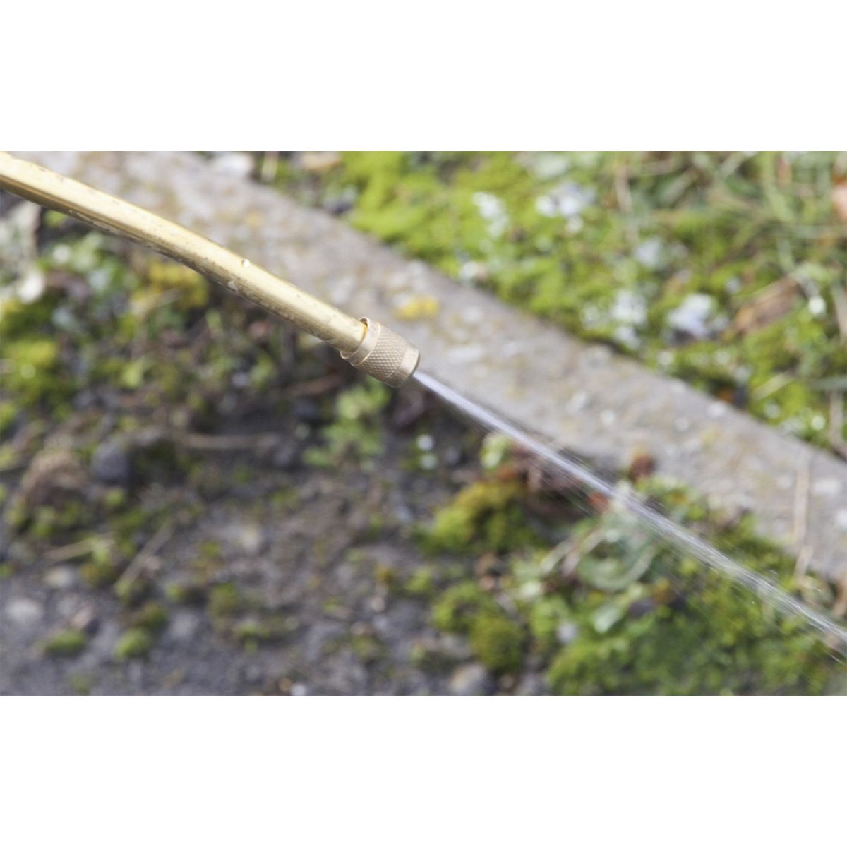 Sealey Pressure Sprayer 8L - Image 3