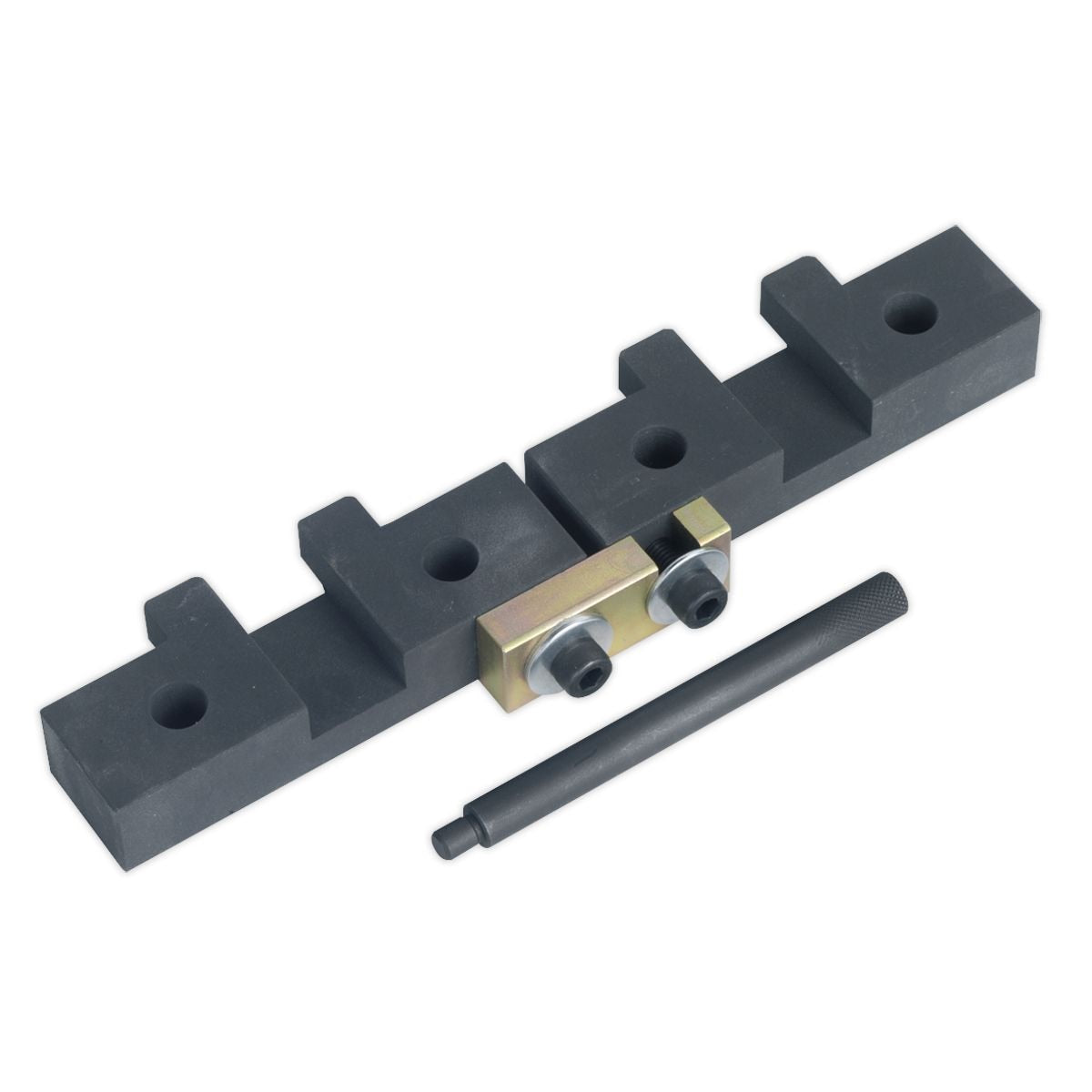 Sealey Petrol Engine Timing Tool Kit - for BMW M42/M50/M52/M52TU/M54/M56 - Chain Drive - Image 1