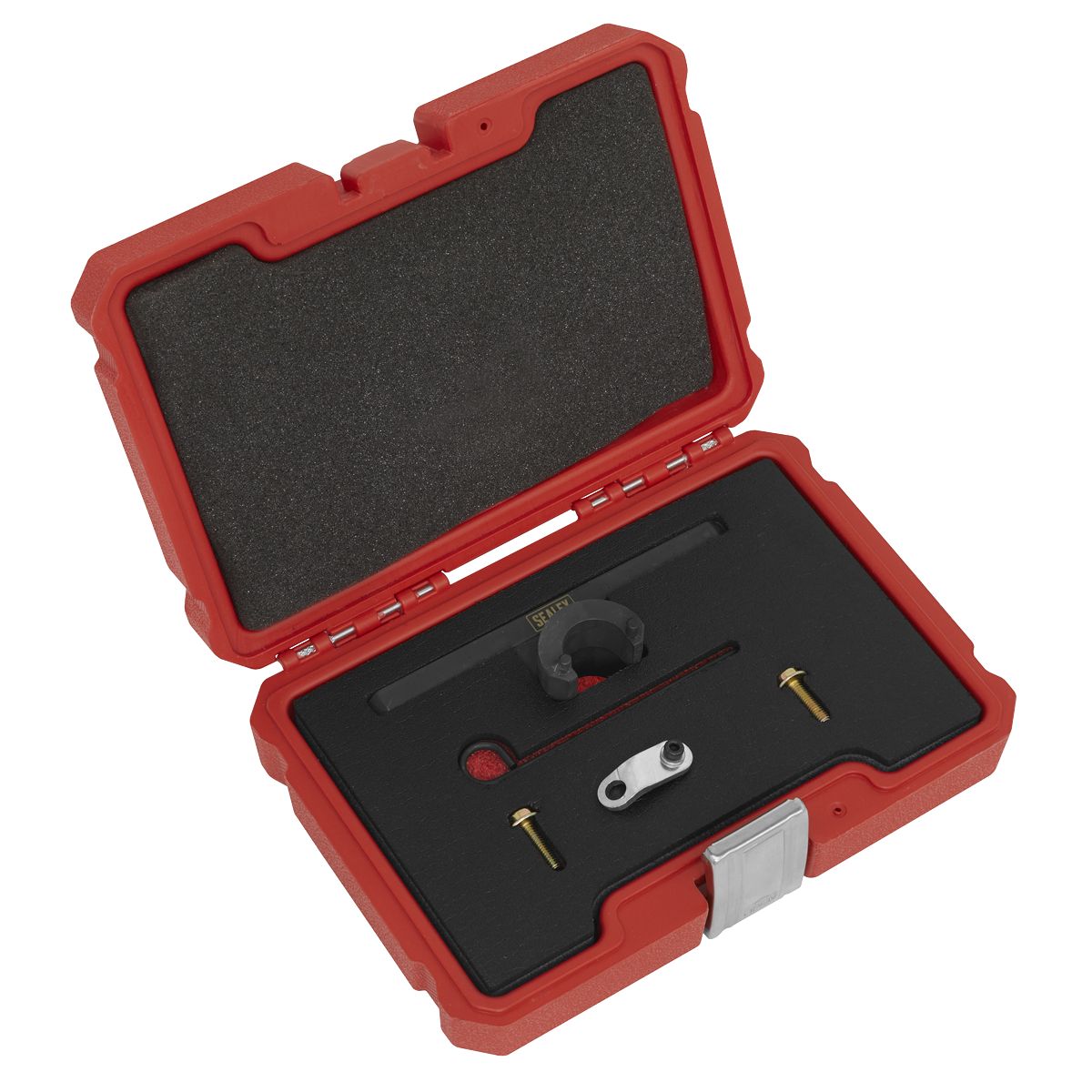 Sealey Oil Pump & Balance Shaft Alignment Kit - for BMW 2.0 N20/N26 - Chain Drive - Image 1