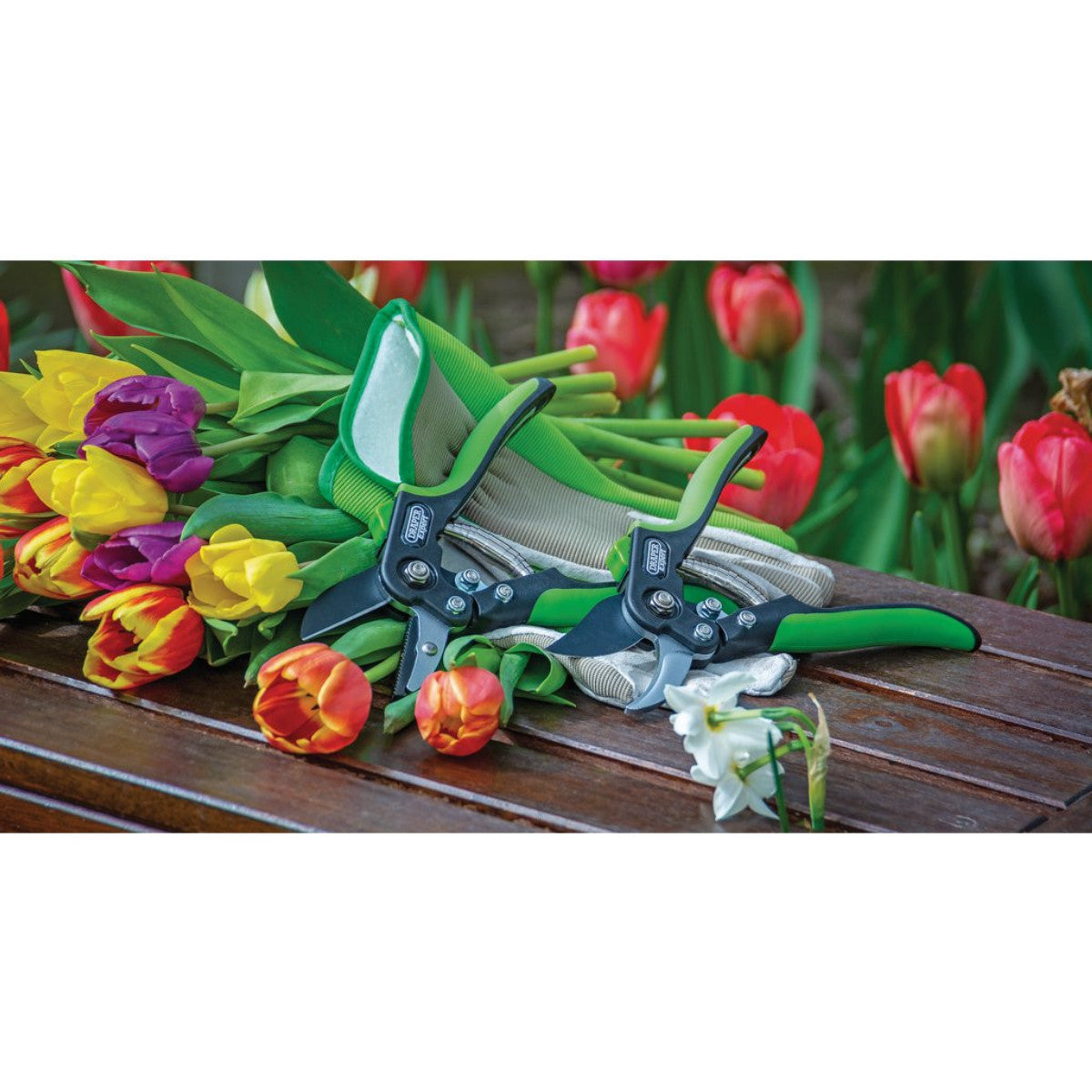 Draper Expert Anvil Pattern Secateurs, 200mm 94983