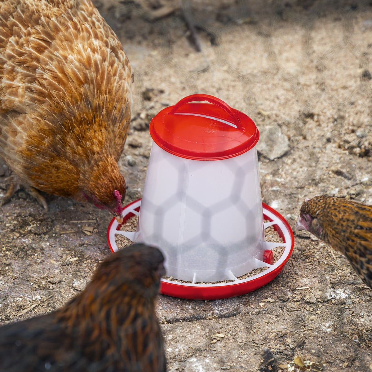 Sealey Poultry Feeder 1.5kg AFT02
