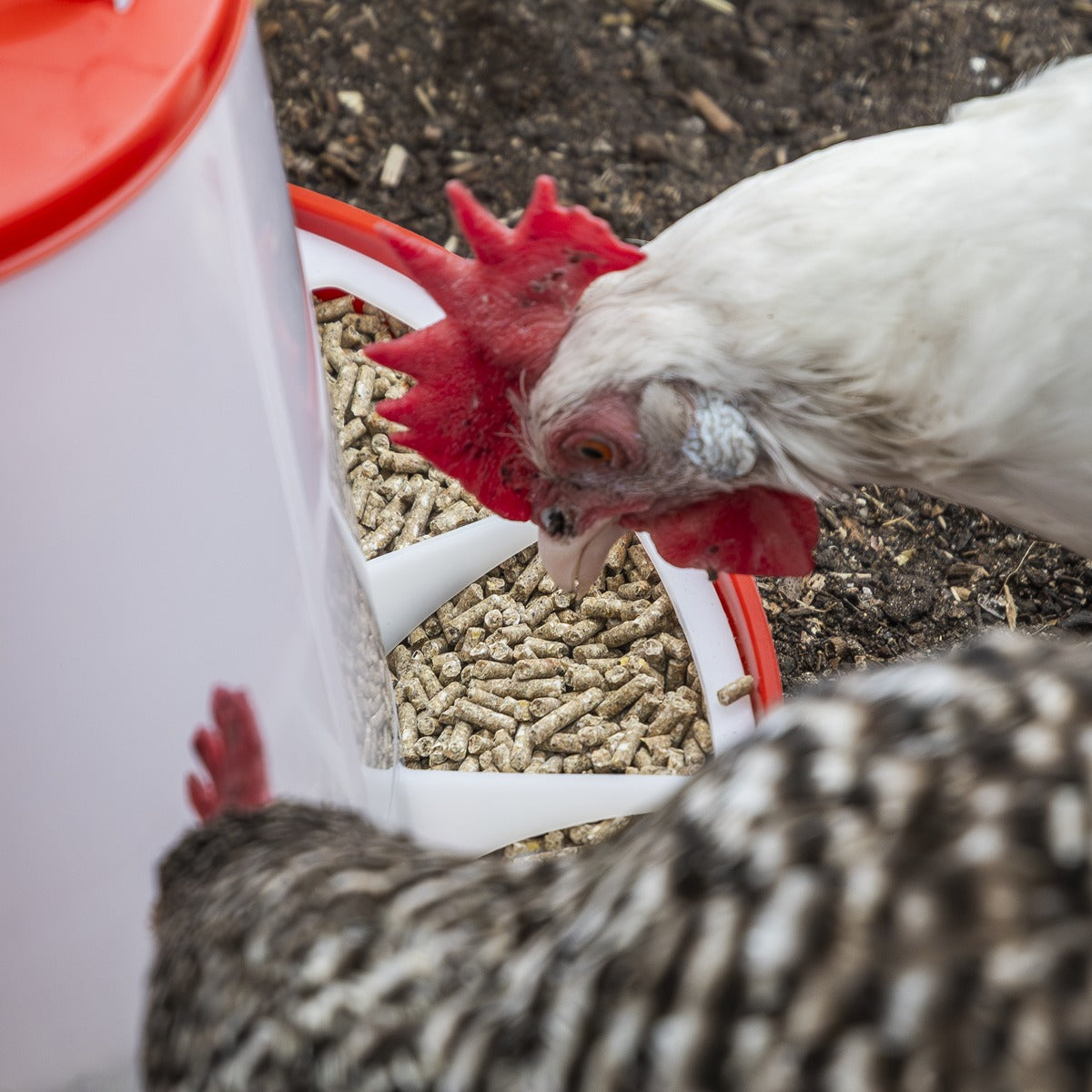 Sealey Poultry Feeder 1.5kg AFT02