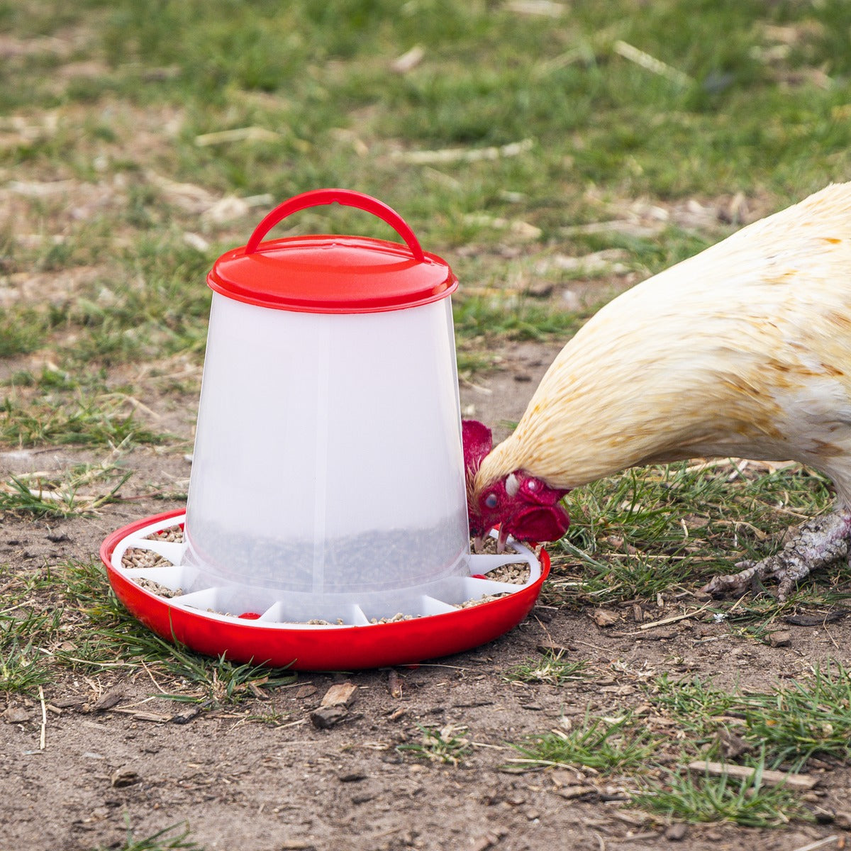 Sealey Poultry Feeder 3kg AFT03