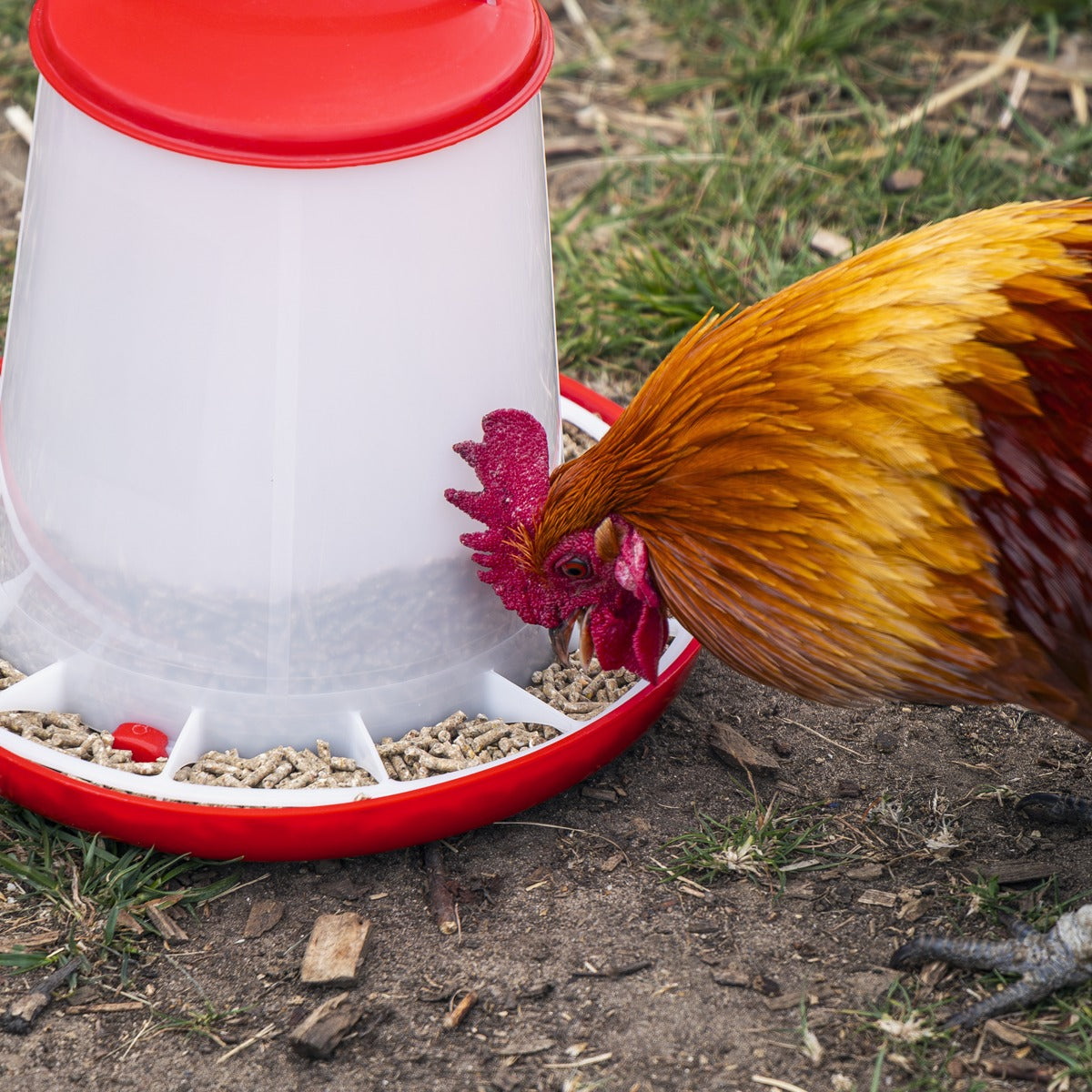 Sealey Poultry Feeder 3kg AFT03