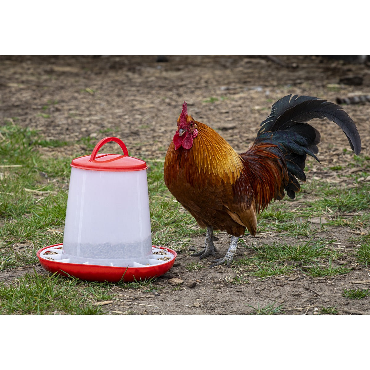 Sealey Poultry Feeder 3kg AFT03