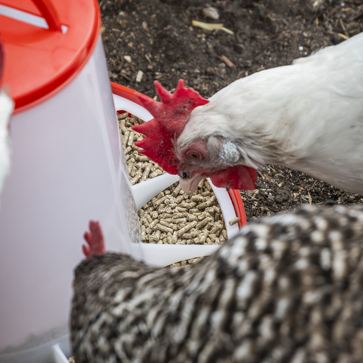 Sealey Poultry Feeder 6kg AFT04