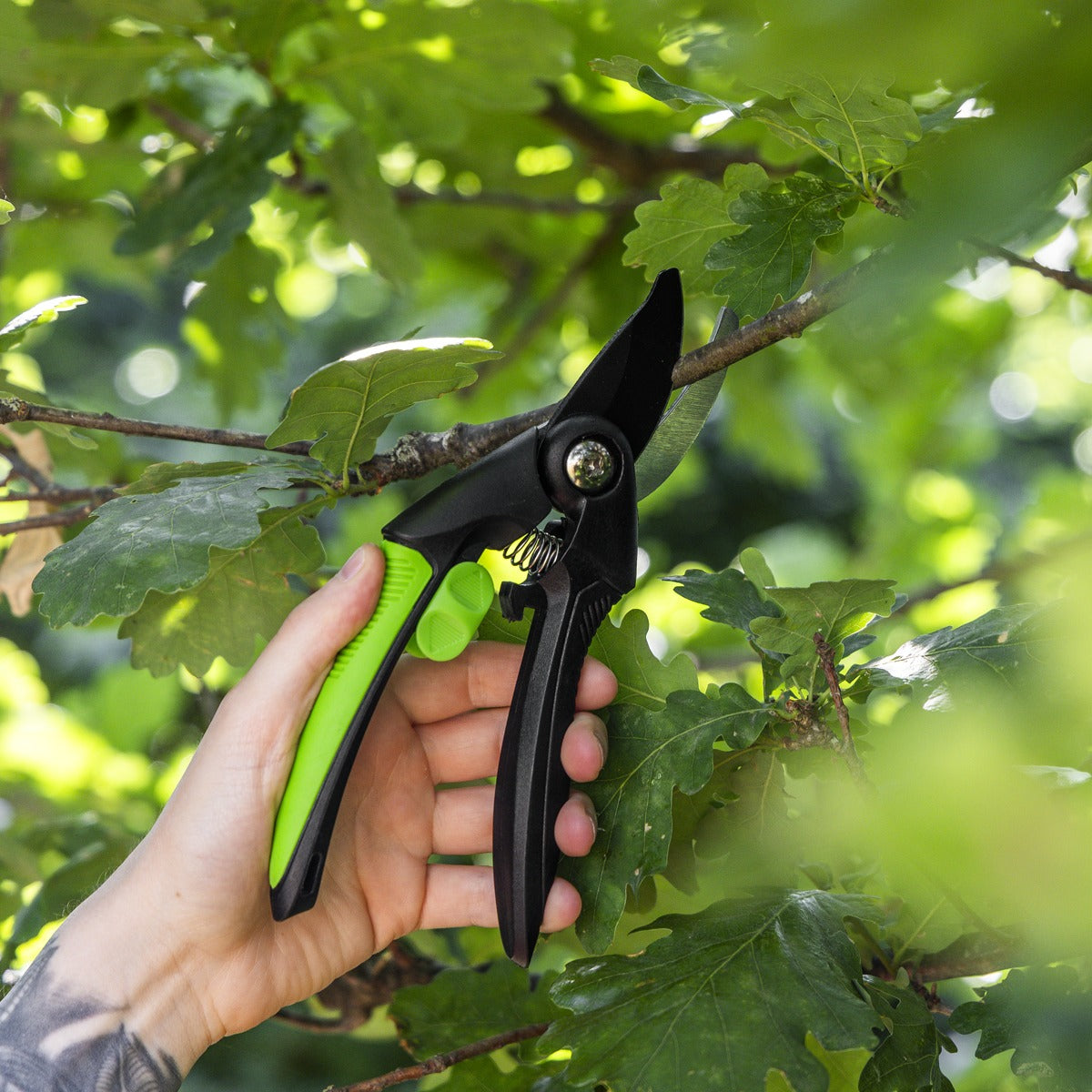 Sealey Bypass Secateurs with Soft Grip Handle, Safety Lock & Carbon Steel Blade, 208mm GTSG001
