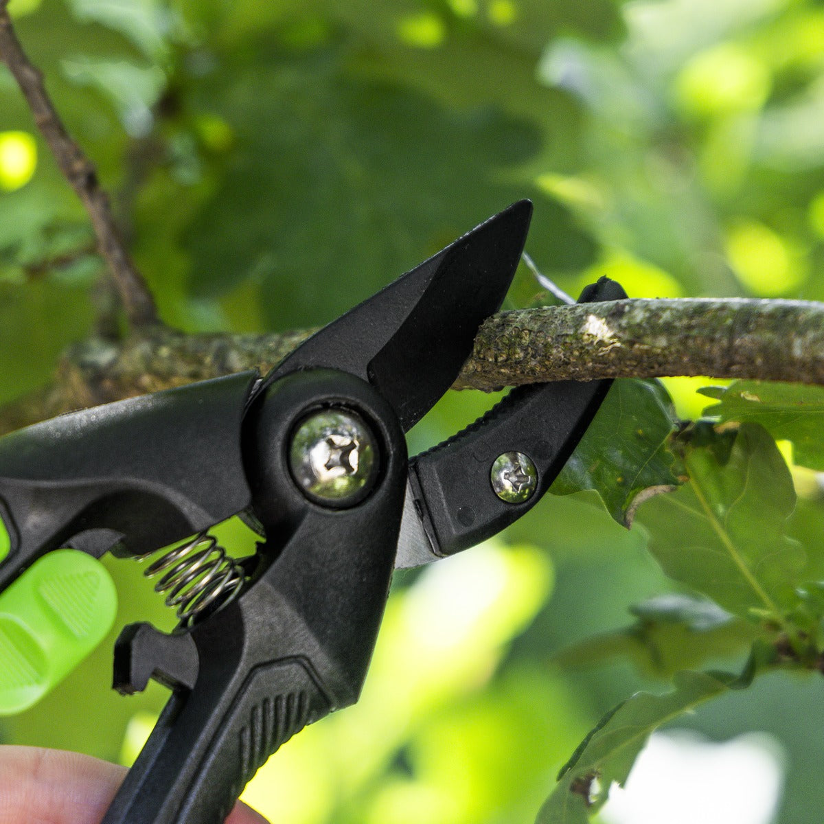 Sealey Anvil Secateurs with Soft Grip Handle, Safety Lock & Carbon Steel Blade, 208mm GTSG002
