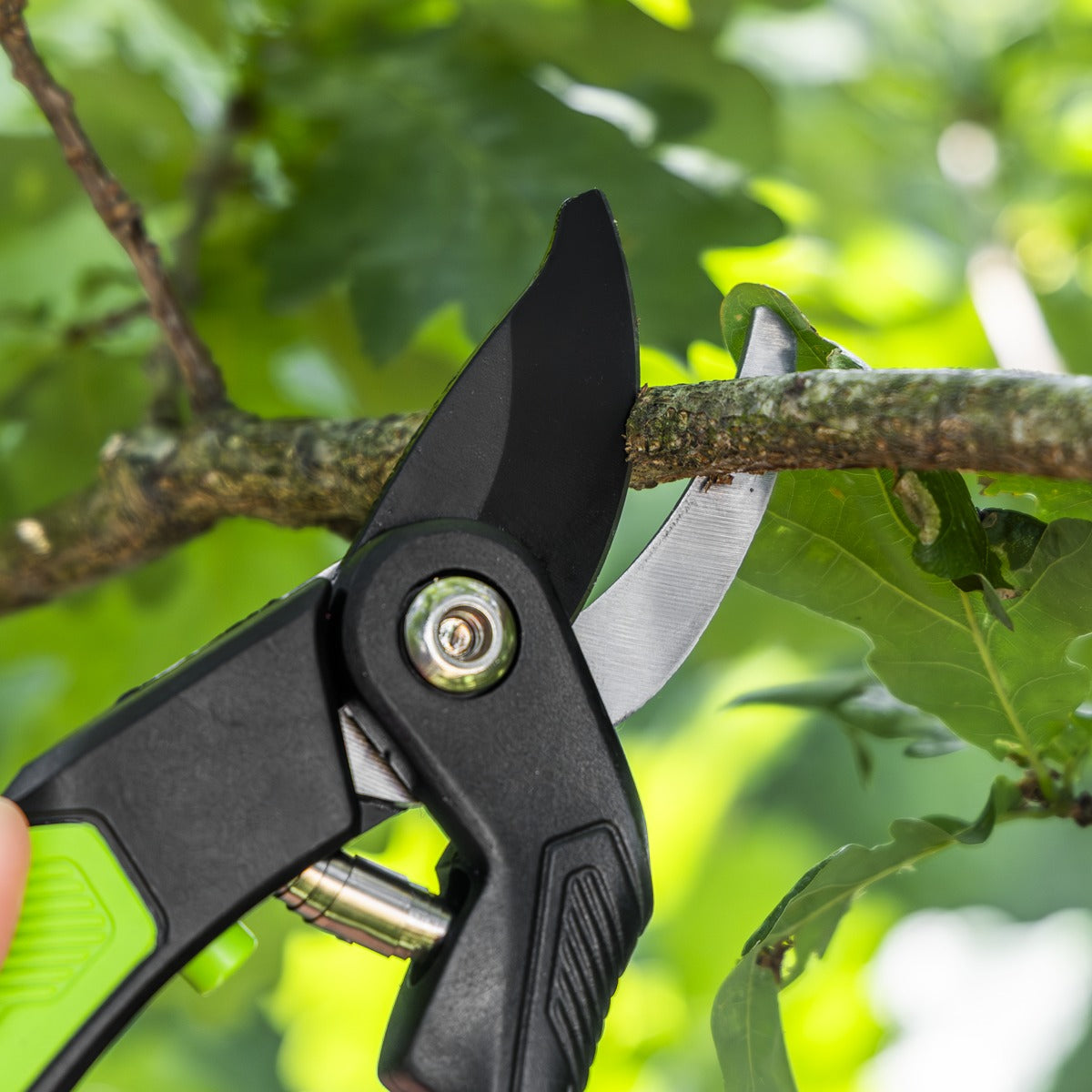 Sealey Bypass Secateurs with Soft Grip Handle, 3-Stage Safety Lock & Carbon Steel Blade, 220mm GTSG004