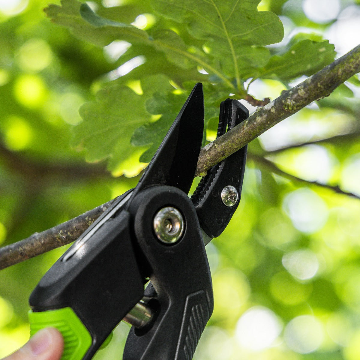 Sealey Anvil Secateurs with Soft Grip Handle, 3-Stage Safety Lock & Carbon Steel Blade, 220mm GTSG005