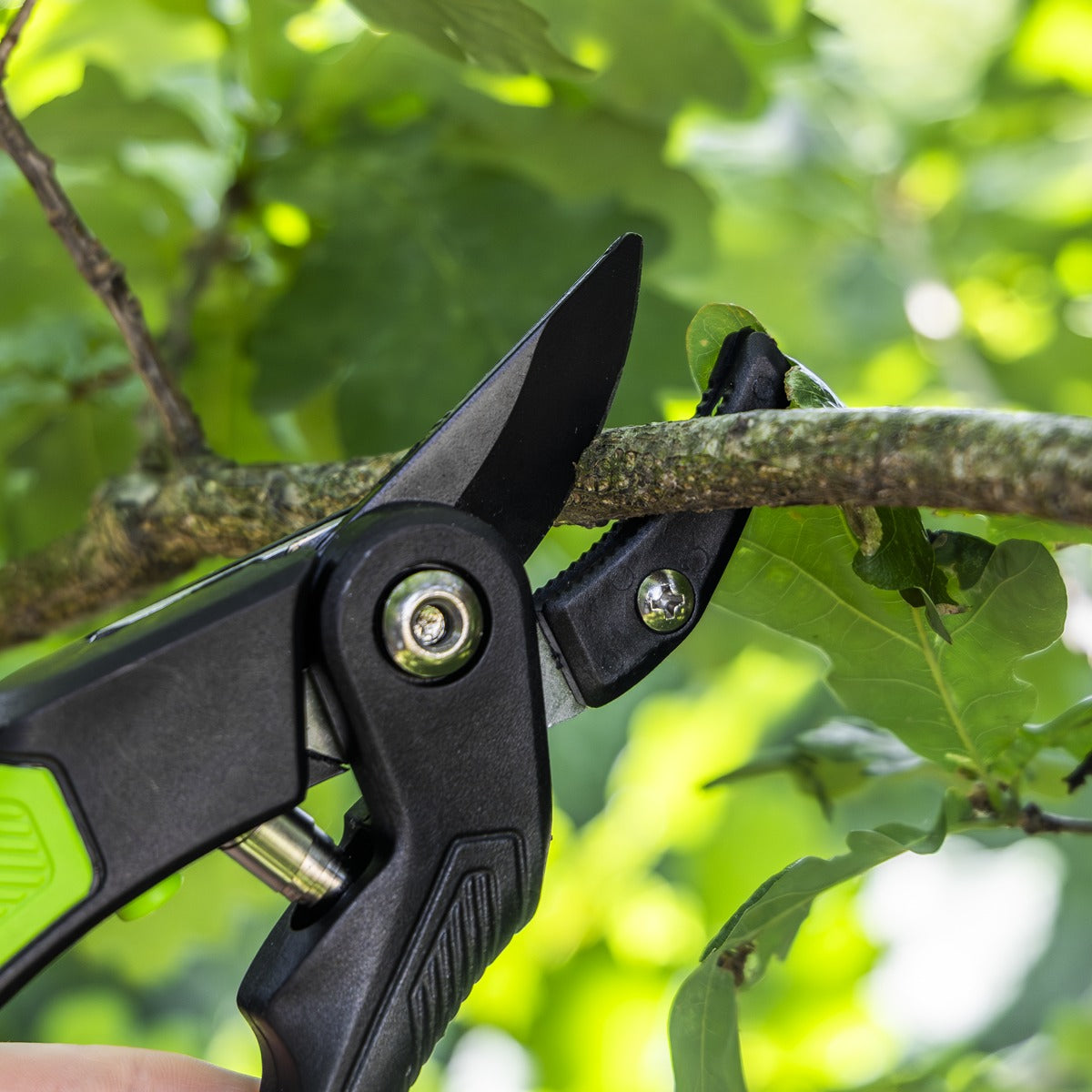 Sealey Anvil Secateurs with Soft Grip Handle, 3-Stage Safety Lock & Carbon Steel Blade, 220mm GTSG005