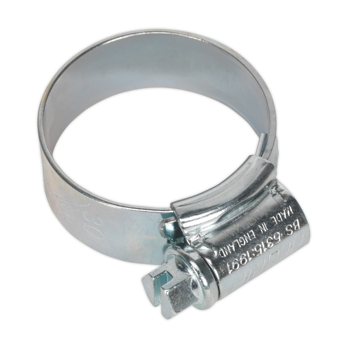 Sealey HI-GRIP Zinc Plated Hose Clip 22-30mm - Pack of 20 HCJ1A